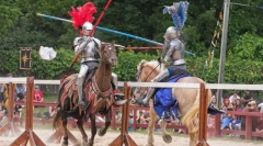 Turnee medievale. Rolul de cai